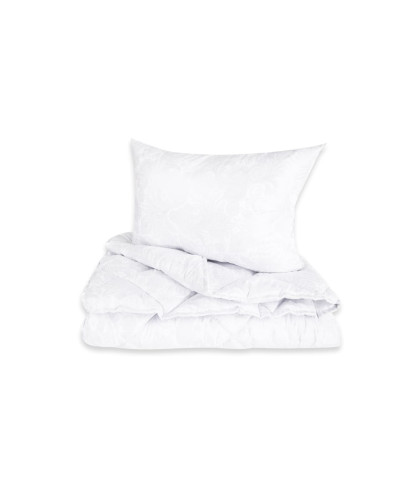 Ковдри ТЕП    T1-02939_21855 купити у Postel.biz.ua