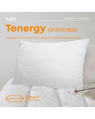 Подушки ТЕП    T3-03871_00000 купити у Postel.biz.ua