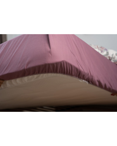 Простирадла ТЕП    T2-04018_26853 купити у Postel.biz.ua