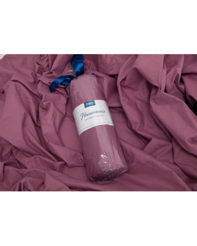 Простирадла ТЕП    T2-04071_28107 купити у Postel.biz.ua