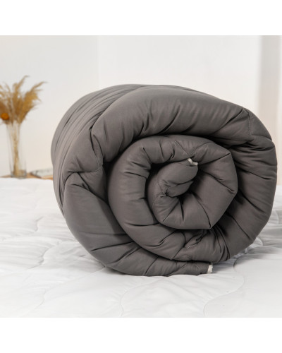 Ковдри ТЕП    T1-00150_28732 купити у Postel.biz.ua
