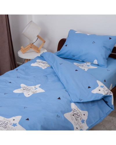 Комплекти постільної білизни ТЕП    T2-04191_29891 купити у Postel.biz.ua