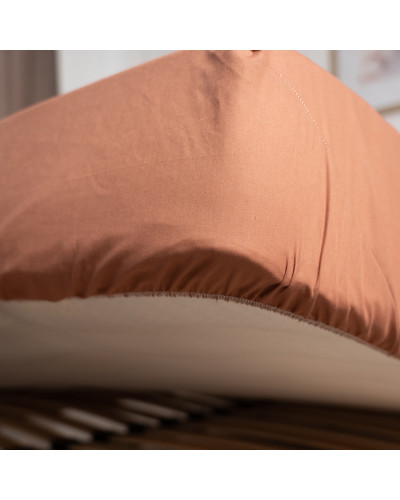 Простирадла ТЕП    T2-04017_26730 купити у Postel.biz.ua