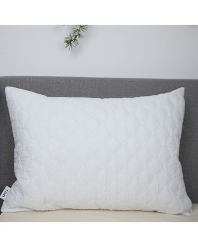 Подушки ТЕП    T3-01802_00000 купити у Postel.biz.ua