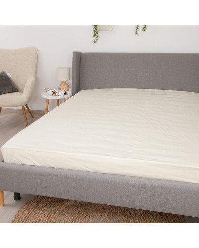 Простирадла ТЕП    T2-04017_28844 купити у Postel.biz.ua