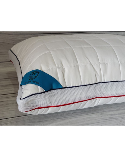 Подушки Jereed Туреччина  50х70  ST4014 купити у Postel.biz.ua