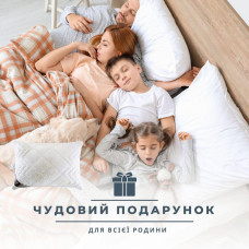 Подушка для сну Air Dream Classic 50х70 см IDEIA антиалергенна 2 чохли з блискавкою холлофайбер зручна