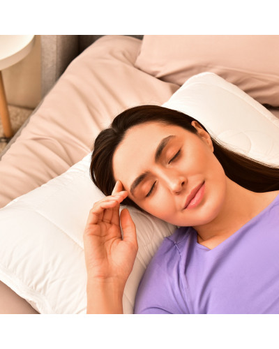 Подушки IDEIA    ID8-11588*001 купити у Postel.biz.ua
