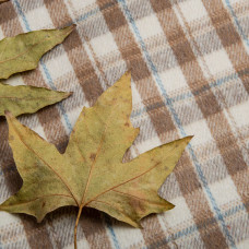 Тканина костюмна Карта молоко темний беж