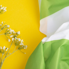 Тканина тентова Оксфорд, 150 см, 160 г/м2, міцна та водостійка для тентів та чохлів смуга салат