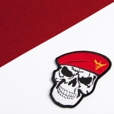 Шеврон нашивка на липучці Череп Десантно-штурмових війська України 7х8,5 см