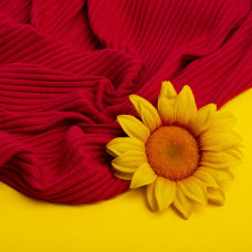 Тканина трикотаж Лара гумка червоний