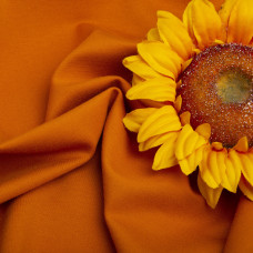 Тканина трикотаж однотонна Прага 620 г/м2 рудий