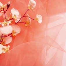 Тканина фатин євро 300 см 15 г/м2 фатин легка декоративна для суконь, костюмів, декору V-H14 св корал