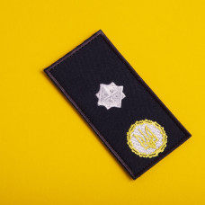 Шеврон на липучці погон звання ДСНС Генерал 5х10 см вишитий патч нашивка