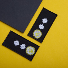 Шеврон на липучці погон звання ДСНС Генерал Лейтенант 5х10 см вишитий патч нашивка