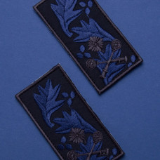 Шеврон на липучці погон звання ЗСУ Бригадного Генерала 5х10 см вишитий патч нашивка