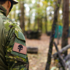 Набір шевронів 2 шт з липучкою Череп Карателя Punisher беж койот 5х8 см вишитий патч нашивка