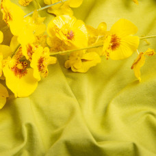 Тканина кулір з еластаном ківі