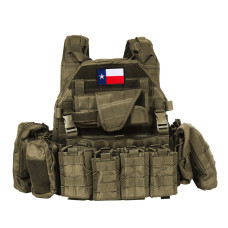 Набір шевронів 2 шт з липучкою прапора штат США Техас 5х8 см вишитий патч нашивка Америка