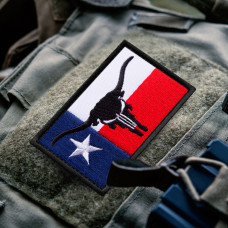 Набір шевронів 2 шт з липучкою прапором штату Техас з Черепом Карателя Бик Рога 5х8 см вишитий патч нашивка