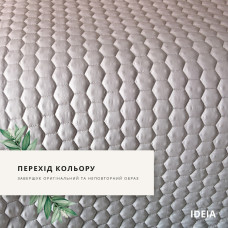 Набір покривало з наволочками Silhouette IDEIA 220х240 см + 2 подушки 50х70 см у подарунок беж двусторонне