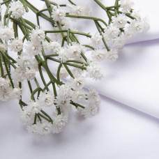 Тканина сорочкова однотонна пл.117 г/м2 90093 біла