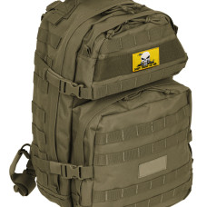 Набір шевронів 2 шт. з липучкою Змія Череп карателей, Don't Tread On Me, Punisher, жовтий вишитий патч шеврон