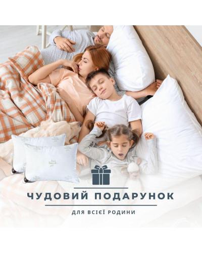 Подушки IDEIA    ID8-35552 купити у Postel.biz.ua
