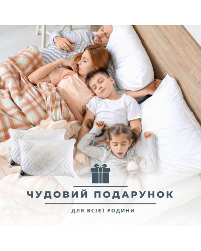 Подушки IDEIA    ID8-35553*001 купити у Postel.biz.ua