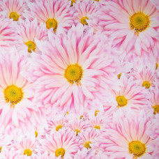 Тканина декоративна скатертина бавовна з водовідштовхувальним просоченням, 180 см, 220 г/м2, для скатертин, штор