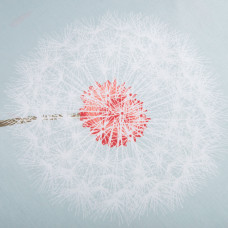 Тканина бязь ранфорс для постільної білизни, бавовна, 130 г/м2, 240 см кульбаба м'ята