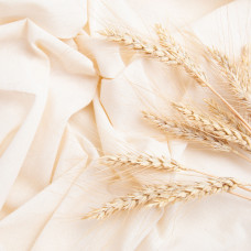 Тканина для постільної білизни бязь однотонна, 165 см, 120 г/м2, молоко, бавовна, натуральна тканина