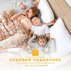 Подушка Air Dream Classic IDEIA 70х70 см два чохли зі змійкою, антиалергенна афродіта