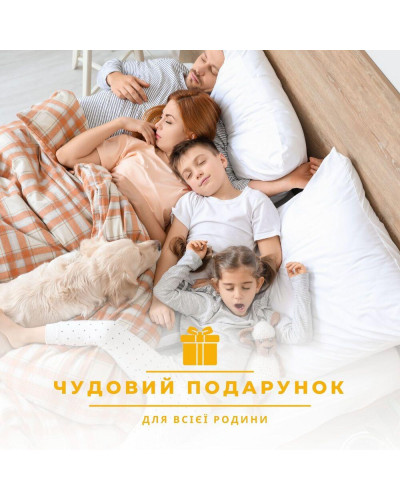 Подушка Air Dream Classic IDEIA 70х70 см два чохли зі змійкою, антиалергенна афродіта