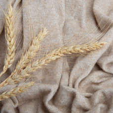 Тканина трикотаж в'язка AD-15962 Кларис, 160 см беж
