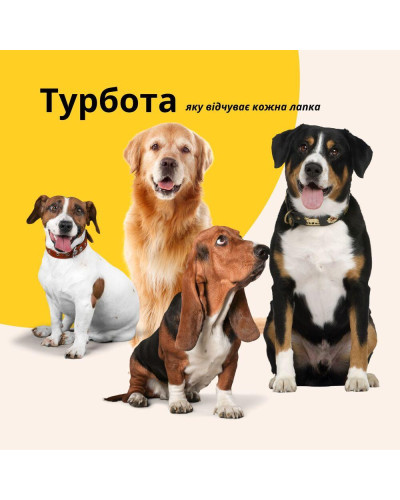 Лежанка матрац 60х80х10 см лежак для домашніх тварин розмір M з чохлом на блискавці та подушкою для собак