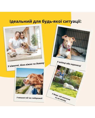 Лежанка матрац 70×110×12 см лежак для хатніх тварин розмір L з чохлом на блискавці та подушкою для собак