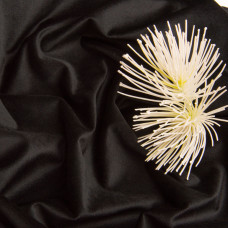 Тканина велюр однотонний Вайлет 150 см 290 г/м2, для одягу, суконь, костюмів, спідниць чорна