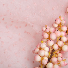 Тканина органза напівпрозора 25 г/м2 145 см легка для платтів, декору, вечірніх і карнавальних костюмів пудра