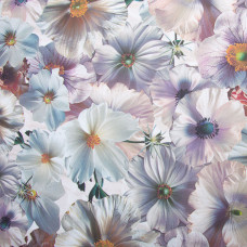 Тканина бязь ранфорс 5D для постільної білизни, бавовна 125 г/м2 240 см натуральна, постільна тканина, тканина для простирадл