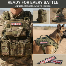 Набір із 2 нашивок "Stay Weird" (Залишайся дивним), вишиті, на липучці, кумедні нашивки для тактичного жилета, шеврони