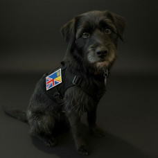 Набір шевронів 2 шт прапор ВеликоЇ Британії та України, 5х8 см, подвійний прапор, шеврон, патч, нашивка з липучкою