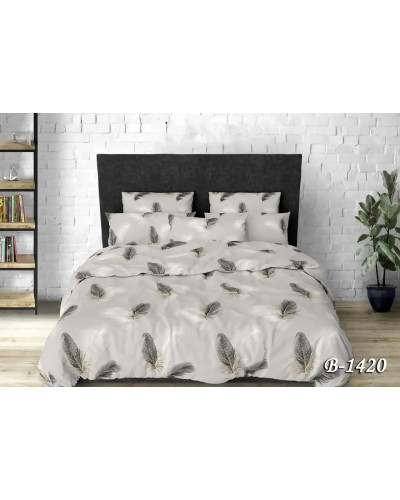 Комплекти постільної білизни Тет-а-Тет Полуторный Полуторный  OTВ-1420 купити у Postel.biz.ua