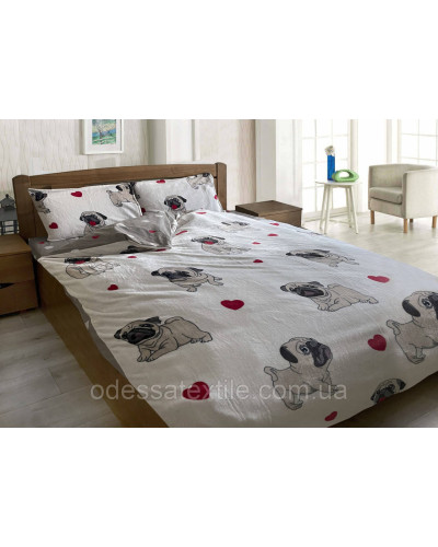 Комплекти постільної білизни Тет-а-Тет Двуспальный с европростыней Двуспальный с европростыней  OTpm-209-двушка купити у Postel.biz.ua