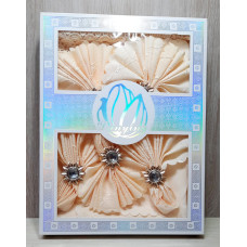 Скатертина персикова Danying з серветками (150x220cm.)