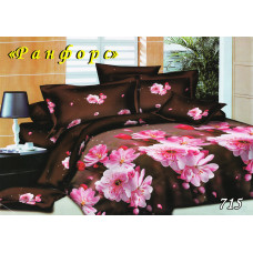 Комплект постільної білизни Тет-А-Тет євро 715 ранфорс