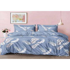 Євро постільна білизна Тет-@-Тет В-1598 бязь (економ)