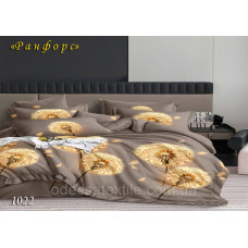 Комплект постільної білизни в Коробці Тет-@-Тет євро 1022 ранфорс