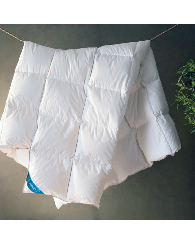 Ковдри Othello  95*145 см  SVsvt-2000022324847 купити у Postel.biz.ua